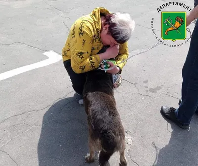 Известный американский кинорежиссер Кэри Фукунага как волонтер помогает  животным в Харькове (фото) — Харків Тimes