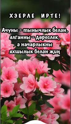 Пин от пользователя Rashida на доске открытки на татарском | Открытки,  Доброе утро