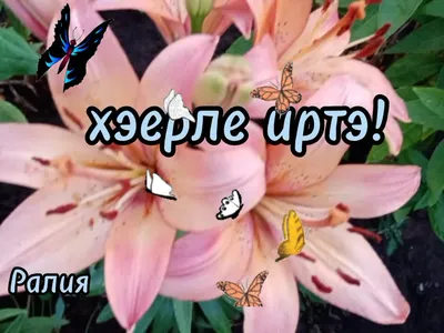 Хэерле иртэ#хэерлеиртэ #доброеутро #рек #лайк | TikTok