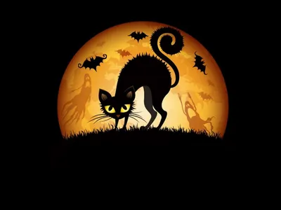 Живые обои Halloween Giant Pumpkin with Black Cats / скачать на рабочий стол