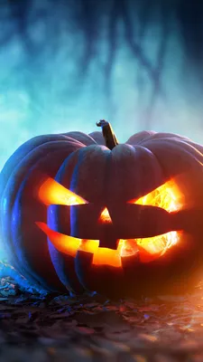 Хеллоуин костюм Рабочий стол, Хэллоуин, еда, праздники, хеллоуин костюм png  | Klipartz