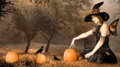 Хеллоуин (Halloween -приколы на хеллоуин - прикольные костюмы, тыквы, шутки  и юмор про хелоуин) :: продолжение в коментариях :: обои на рабочий стол ::  подборка :: праздник / смешные картинки и другие