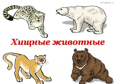 Иллюстрация 3 из 12 для Хищные животные. Опасные, дикие, домашние - Юлия  Школьник | Лабиринт - книги. Источник: