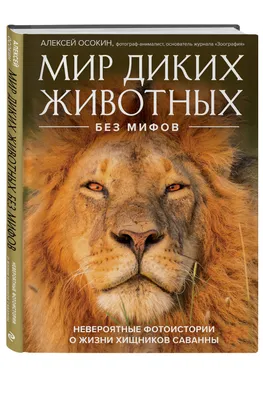 Усатые, клыкастые, полосатые: новое пополнение хищников принимали в  Могилевском зоосаде