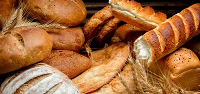 Какой хлеб лучше покупать в магазине - основные критерии выбора