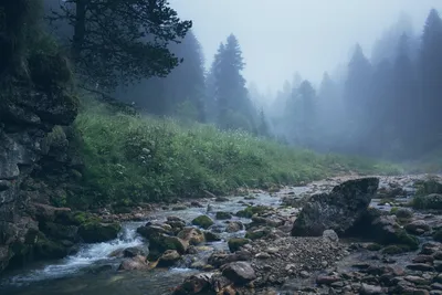 холодный июнь.. :: леонид логинов – Социальная сеть ФотоКто