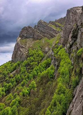 Июнь 2017 года в Москве стал самым холодным за 14 лет