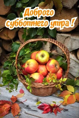 AKVA-Abaza - Всем доброго утра и хорошего дня!🌸 Все, что на фото есть  сейчас - местное 😍 ⠀ 🍒Когда и какие фрукты созревают в Абхазии ⠀  🍓Май-Июнь Черешня, вишня, алыча, клубника, земляника,