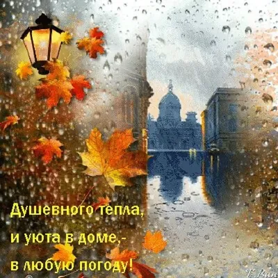 Осенний утренний дождь - 75 фото