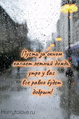 Картинка: Добрым будет день, даже если дождь на улице.