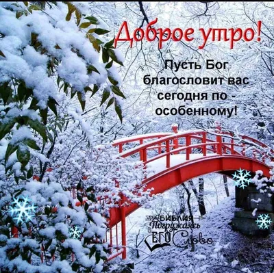 ДОБРОЕ УТРО! 🎄💖⛄🍒❄🎇❄🍒⛄💖🎄 ХОРОШЕГО НАСТРОЕНИЯ В ЛЮБУЮ ПОГОДУ! 🌨☀❄ |  Good morning, Picture, Beautiful rose flowers