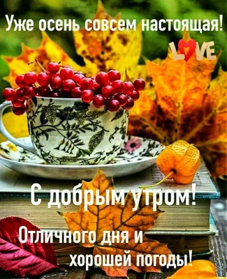 ДОБРОЕ УТРО! 🍁🍒🍫☕🍂🍎🍂☕🥧🍒🍁 Хорошего настроения в любую погоду!  🍄🦔🍄 | Осень, Доброе утро, Праздник