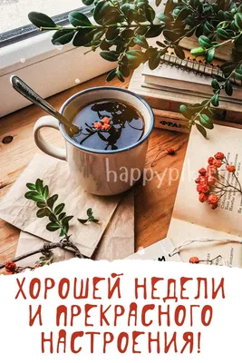 ➡️ Доброе утро 🌞 всем хорошей недели ❤️ | Информационный Центр  Перевальск-Алчевск|ЛНР|LPR| | ВКонтакте