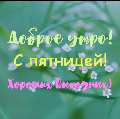 Хорошей пятницы и отличного настроения! - Лента новостей ДНР