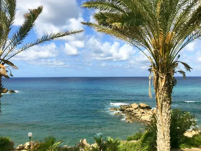 Республику Кипр назвали европейской страной с самым чистым морем