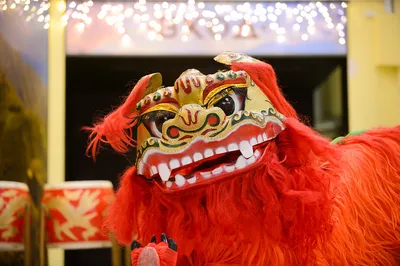 Китайский Новый год: традиции празднования