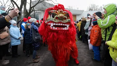 Китайский Новый год 2024: когда и как отмечают, традиции и фонарики |  Ямал-Медиа