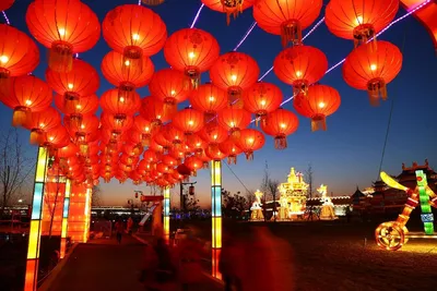 Празднование китайского Нового года стартовало в Нижнем Новгороде |  Информационное агентство «Время Н»