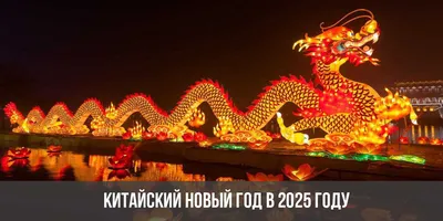 Когда Китайский Новый год 2024: дата и обычаи празднования | Новый канал