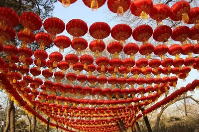 Китайский Новый Год: как встречать и привлечь удачу на целый год