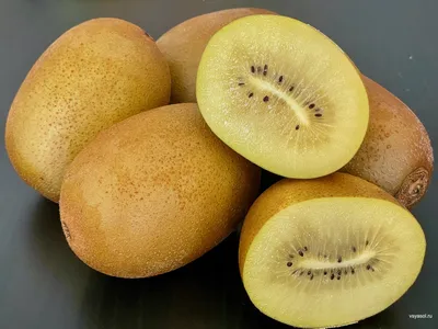 Плод Киви 🥝- фрукт первой необходимости с огромным сокровищем витаминов✓ |  Instagram