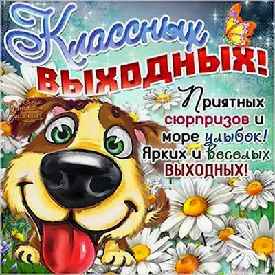 Красивые, прикольные анимационные картинки на выходные. | Картинки, Выходные,  Открытки