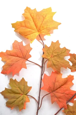 Листья клёна искусственные, осенние, красно-желтые, двойные, 20 веточек (40  листочков). – купить в Казани | «С Нежностью»