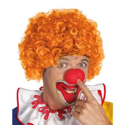 Костюм карнавальный взрослый Клоун в колпаке купить по выгодной цене в  интернет магазине Хлопушка. ру.