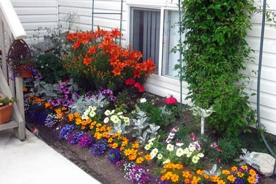 Идеи красивых цветочных клумб на даче — Мои Идеи Для Дачи и Сада