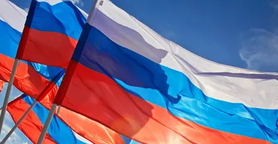Владимир Путин поздравил россиян с Днем государственного флага –  Объясняем.рф