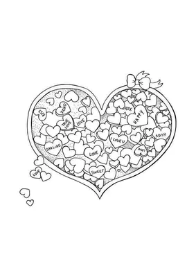 Черно-белый букет сердца на день Святого Валентина Чистый и прекрасный  дизайн для карт Иллюстрация вектора - иллюстрации насчитывающей просто,  нарисовано: 147727776