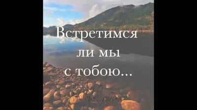 Маргарита Симоньян on X: \"Однажды, Сола Монова https://t.co/SLQE73xgou\" / X