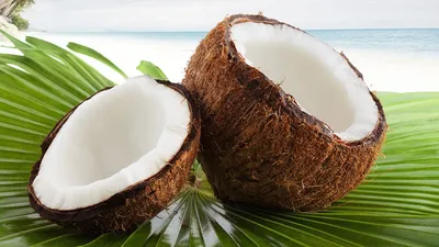 Мякоть тайского молодого кокоса | Замороженные продукты оптом