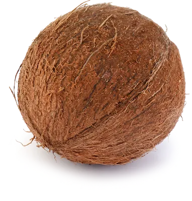 Масло кокоса рафинированное купить в Санкт-Петербурге
