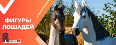 Дяпловы на пару коней (ID#1279058539), цена: 1000 ₴, купить на Prom.ua