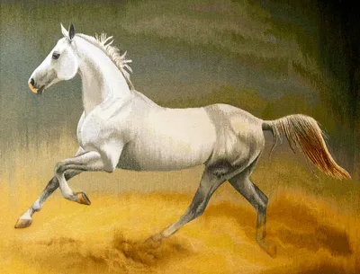 Лошади Белых Коней Камарг - Бесплатное фото на Pixabay - Pixabay