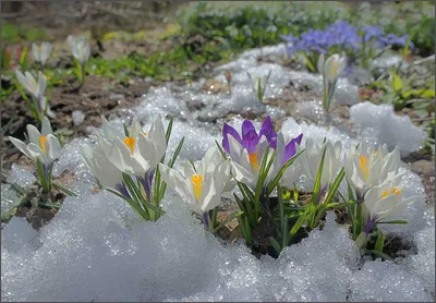 Кто сказал, что конец зимы, начало весны это депрессивный период🤔❓ Только  не на нашем острове Лодэ 😉 Даже в это время вы сможете найти… | Instagram