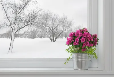 Февраль - это вовсе не конец зимы, а самое начало весны.. Художник Игорь  Дубовой.