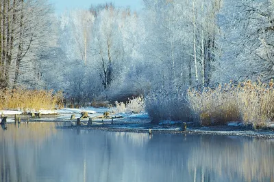 Конец зимы природа (56 фото) - 56 фото