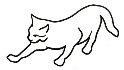 Вот как нарисовать кошку по-древнеегипетски. Настоящее пособие | РБК Life