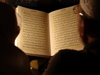 Антиисламист в Нидерландах разорвал Коран (Haber7, Турция) | 24.01.2023,  ИноСМИ