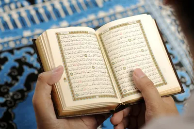 Коран на русском языке с таджвидом, транслитериацией. Коран 4 в 1. - купить  с доставкой по выгодным ценам в интернет-магазине OZON (1076156438)