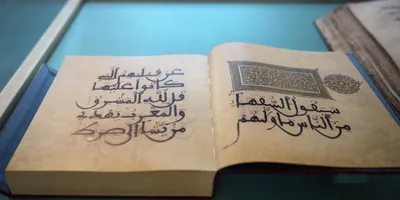 Тем кто хотят советы от Корана | Религиозные цитаты, Коран, Красивые цитаты