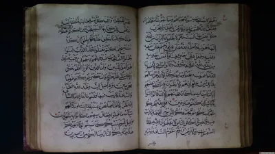 Исследование Корана на противоречия. Нет единой мысли... | Свет миру | Дзен