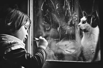 Думаюющие кошки, чёрно-белое фото.…» — создано в Шедевруме