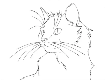 Рисунок кошки для срисовки черные (30 шт)
