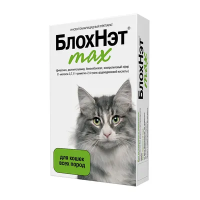 Это мама, она приносит мне еду»: мир глазами котенка - Питомцы Mail.ru