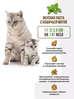 Купить Гельмимакс-2 от глистов для котят и кошек мелких пород - доставка,  цена и наличие в интернет-магазине и аптеках Доктор Вет