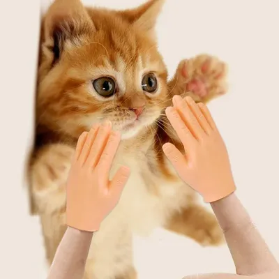 Прикольные перчатки для кошек, пластиковые перчатки на палец, искусственная  ручка, искусственная кожа, игрушки для кошек и собак, маленькая рука,  товары для домашних животных, кошек | AliExpress