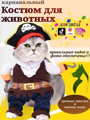 Липочка Карнавальный костюм для кошек и собак